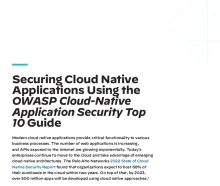 Przewodnik OWASP OWASP Cloud-Na tiveApplication Security Top 10 Guide