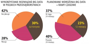 Wielkie dane w polskich organizacjach