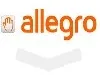 Allegro wystawione na sprzedaż