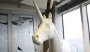 Pierwszy unicorn z Polski