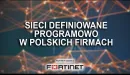 Sieci Definiowane Programowo w polskich firmach