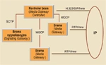 <p>Technologie VoIP MGCP, Megaco/H.248</p>