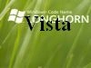 <p>Windows Vista - czarny koń Microsoftu</p>