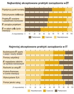 Między technologią a biznesem - praktyki zarządzania IT w Polsce