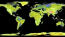 Już 99% powierzchni Ziemi na mapie