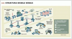 WiMAX w cieniu LTE?