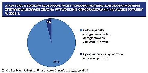 Nakłady na ICT w polskich firmach - raport GUS