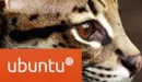 Ubuntu 11.10 - co zmieni Oniryczny Ocelot?