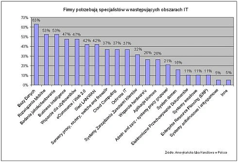 Poszukiwane kompetencje i umiejętności przyszłych informatyków w Polsce