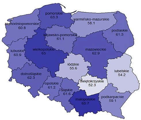 Diagnoza społeczna 2011: skala wykluczenia cyfrowego w Polsce nie maleje