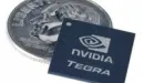 Nvidia Tegra zagości w serwerach?