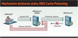 DNS - ochrona krytycznych zasobów