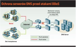 <p>DNS - ochrona krytycznych zasobów</p>