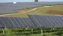 Powstaje największy w Polsce kompleks farm słonecznych