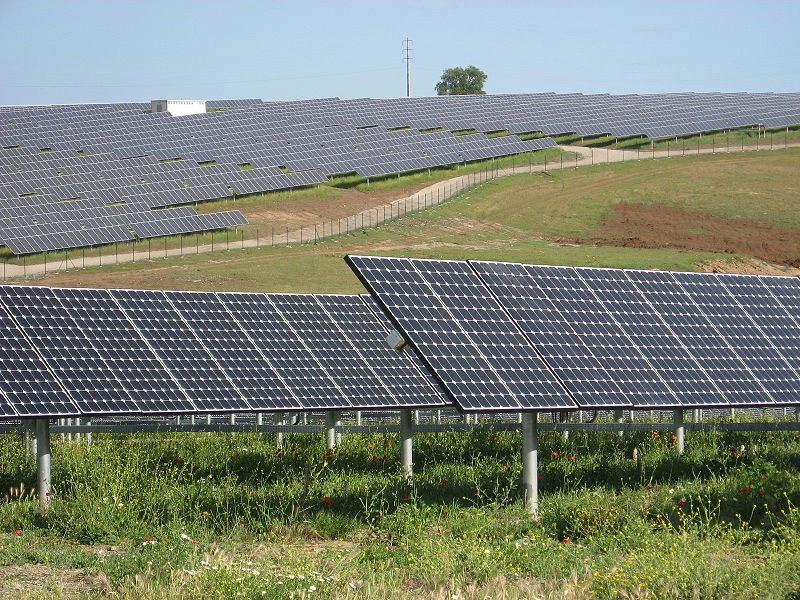 Powstaje największy w Polsce kompleks farm słonecznych