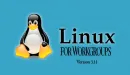 Torvalds prezentuje nowe jądro (3.11) systemu Linux