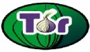 NSA (National Security Agency) i jej potyczki z siecią Tor 