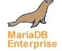 SkySQL udostępnił MariaDB Enterprise – bazę danych, której zaletą jest wysoka dostępność
