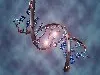 Sequedex skraca do minimum czas potrzebny na przebadanie materiału DNA