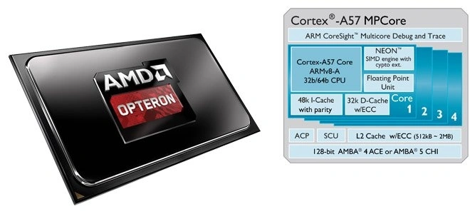 <p>AMD rezygnuje z rozwoju procesorów ARM</p>