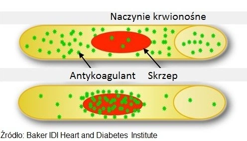 Nanokapsułka zapobiegająca zawałowi serca