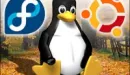 Idą jak świeże bułeczki: Fedora Core 6, Ubuntu 6.10 i... openSUSE 10.2?