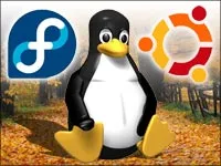 Idą jak świeże bułeczki: Fedora Core 6, Ubuntu 6.10 i... openSUSE 10.2?