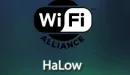 Wi-Fi dla środowisk IoT ma nową nazwę: Wi-Fi HaLow
