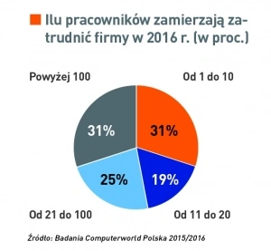 Rośnie popyt na specjalistów IT w Polsce