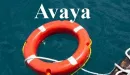 Istnieje szansa na to, że Avaya odrodzi się