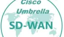 Cisco integruje sieci SD-WAN z mechanizmami cyberbezpieczeństwa