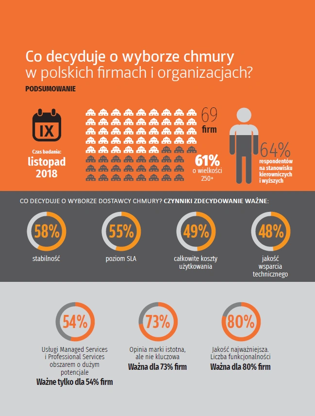 Co decyduje o wyborze chmury w polskich firmach?