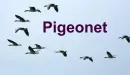 Pigeonet – radiowa sieć dostępowa bazująca na miniaturowych dronach