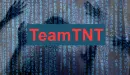 Hakerzy z TeamTNT znowu atakują