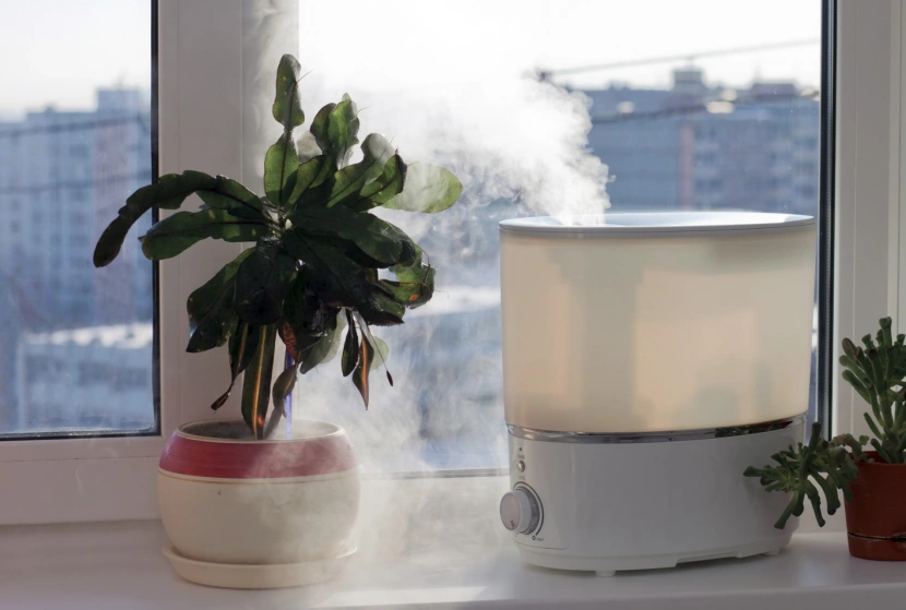 Nawilżacz powietrza - czy warto mieć w biurze? / Fot. yocamon, depositphotos.com