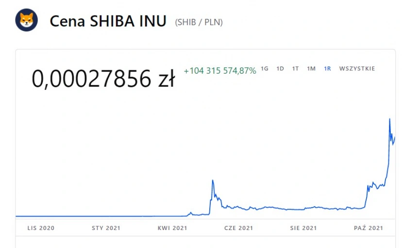 Shiba Inu pozwoliła zarobić - i to dużo / Fot. Materiały własne
