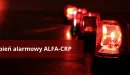 Od północy 16.02 obowiązuje stopień alarmowy ALFA-CRP na terenie Polski