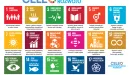 Beyond.pl wdraża 17 Celów Zrównoważonego Rozwoju ONZ