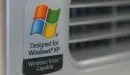 Windows 11 mniej popularny od Windowsa XP