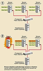 Klastry serwerów - Systemy Novella i Microsoftu