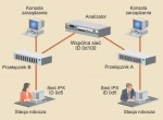 <p>Jak przełączniki LAN pracują w sieciach heterogenicznych?</p>