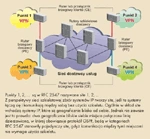 <p>Sieci VPN oparte na BGP/MPLS</p>