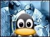 Komunikatywny Pingwin